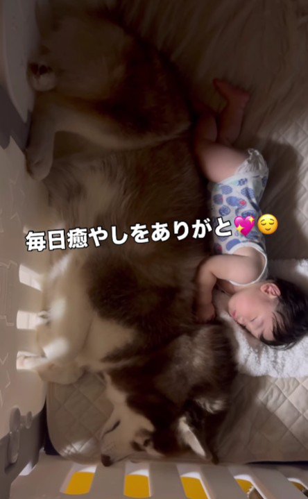 微笑ましい兄弟でした！