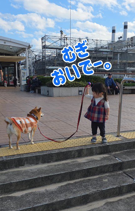 むぎちゃんとまーちゃん