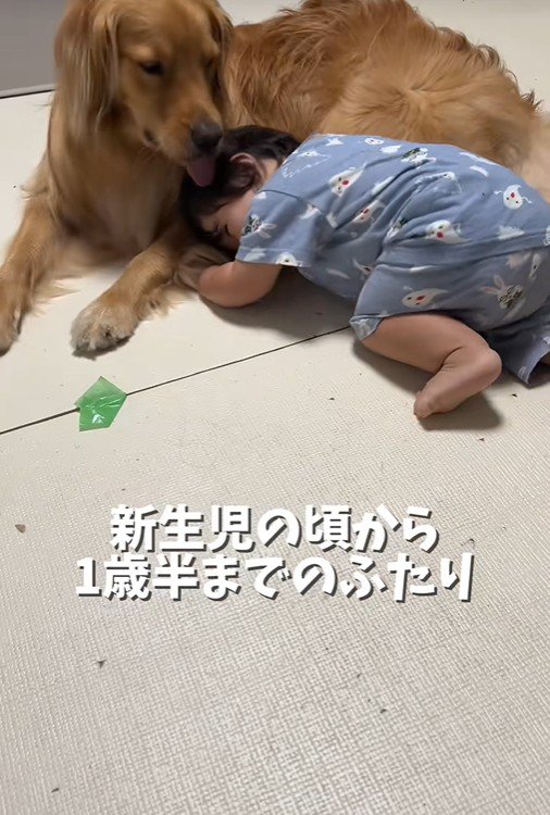 ピノくんに甘える赤ちゃん♡