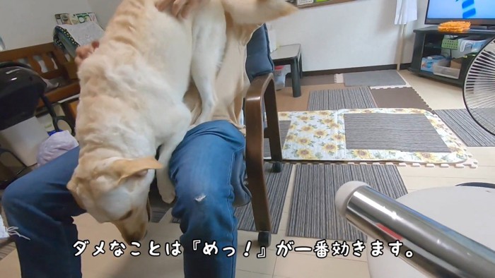注意したら降りてくれました