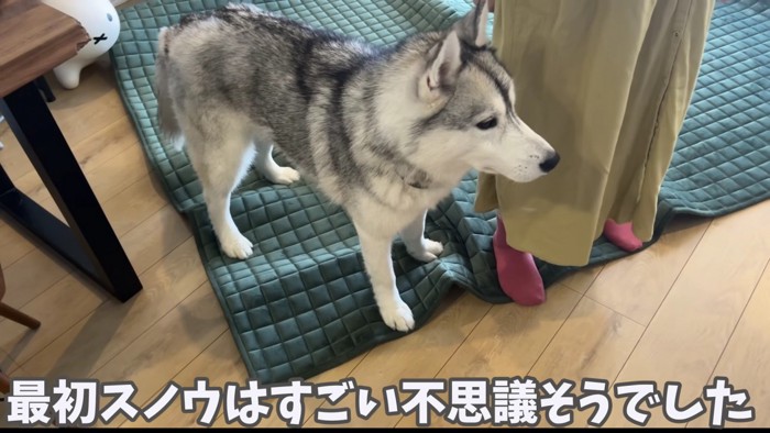 不思議そうな表情