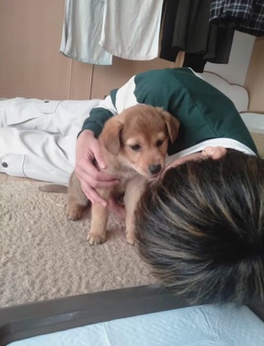 家族に迎えれた子犬