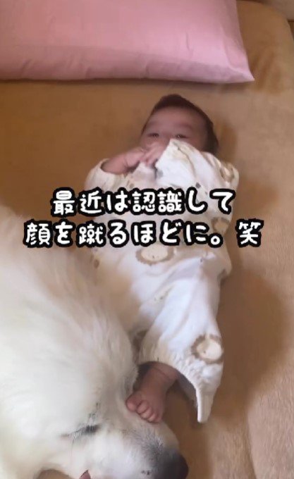 足で確かめる赤ちゃん