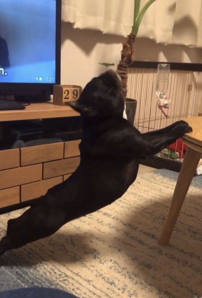 ストレッチ3