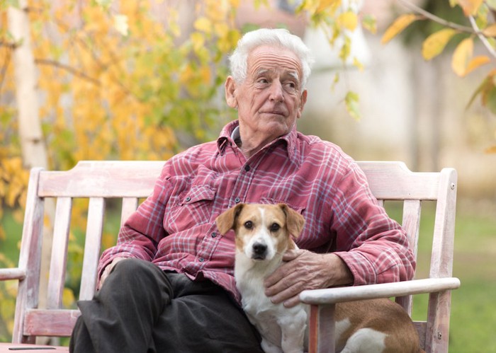 犬とベンチに座る年配の男性