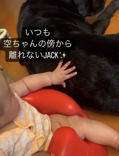 座って犬を撫でる子ども