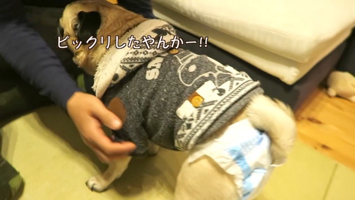 文句を言いにパパさんのもとへ