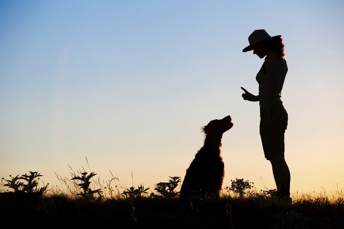 トレーニング中の飼い主さんと犬のシルエット