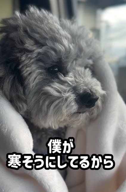 まるで赤ちゃん♡