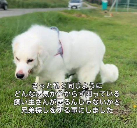歩行障害