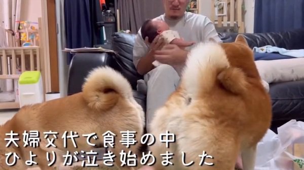 泣き出したひよりちゃん