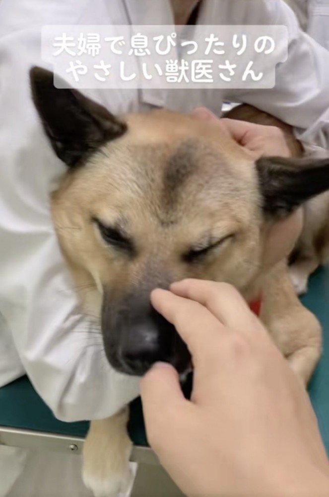 よく頑張りました！