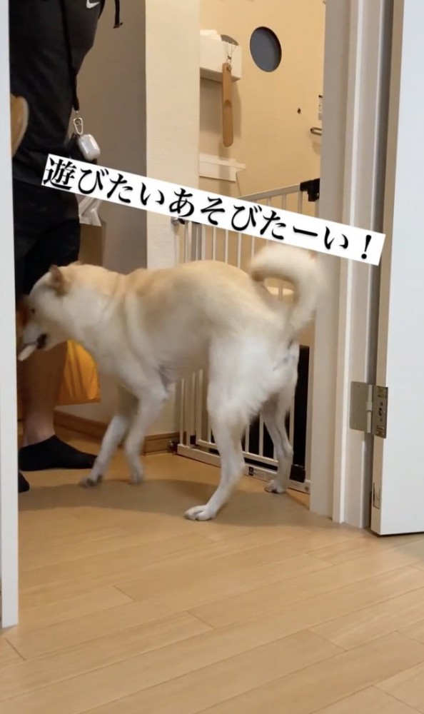 「早くぅぅ」