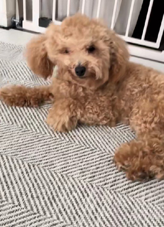 片方だけがペチャンコに！！
