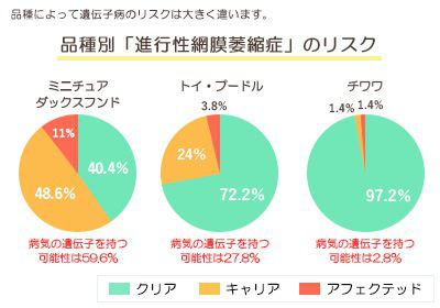 idenshi_graph