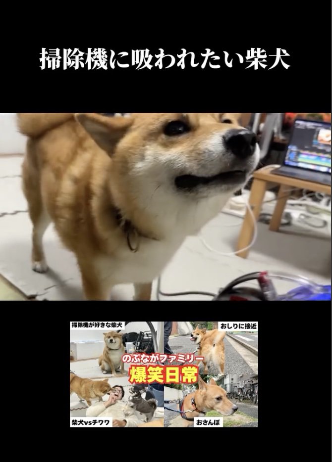 「もう終わりー？？」