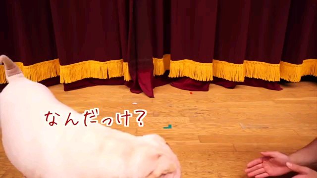 なんだっけ？～字幕