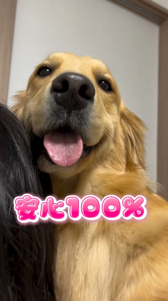 女性に抱っこされて笑顔でカメラを見つめる大型犬