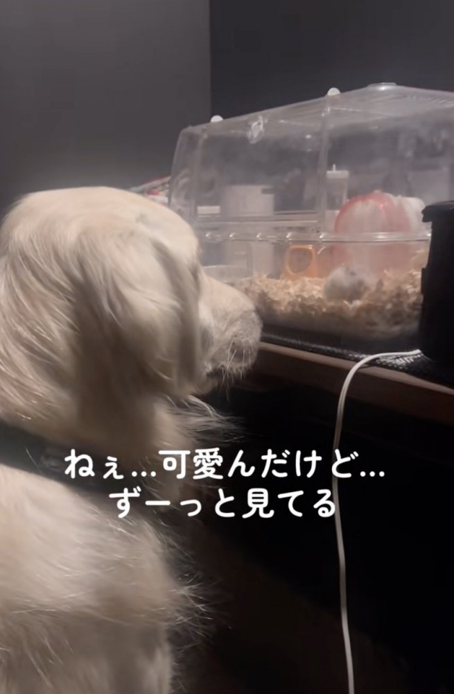 優しく見守ります