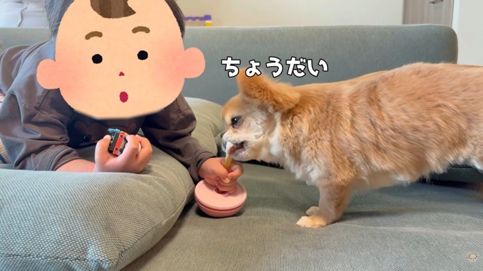 「ちょうだい」と優しくアピール