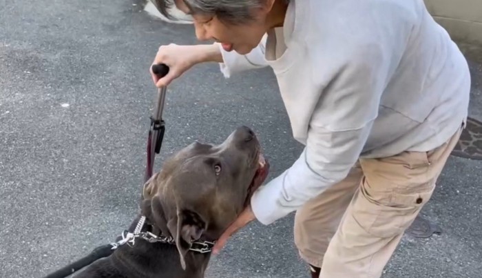 お散歩中に出会ったのは…