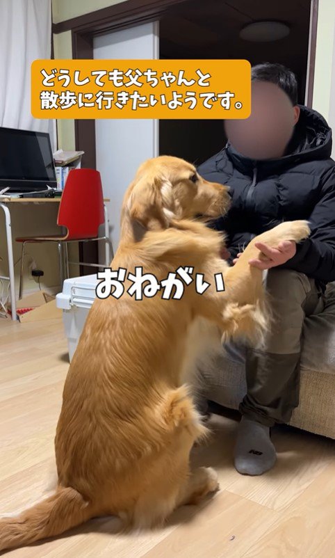 アルトくんのお散歩催促3