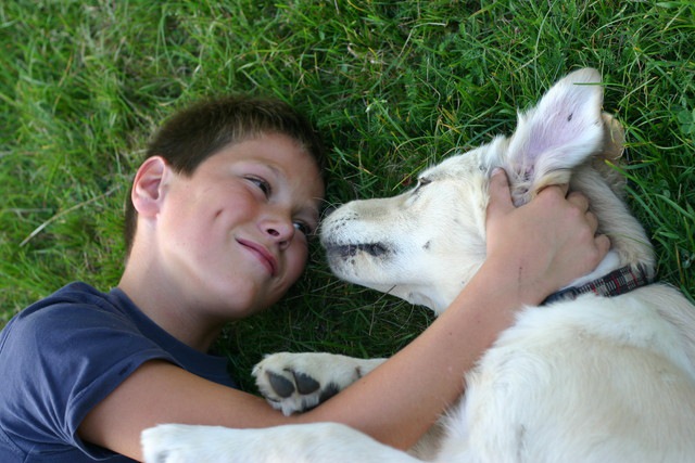 犬に好かれている少年