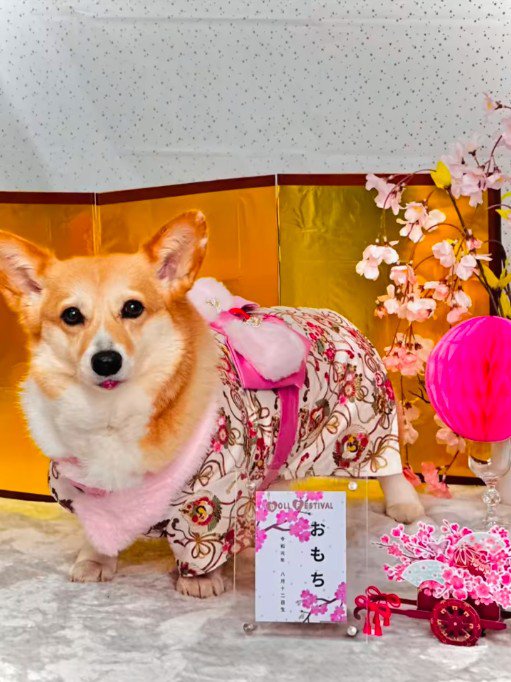 相変わらず可愛い♡