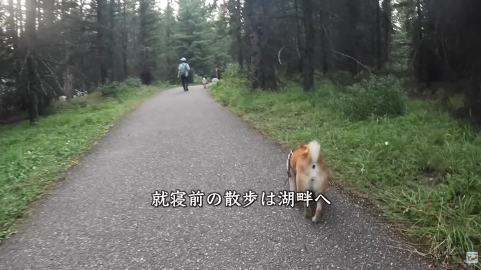 近くにある湖畔へお散歩