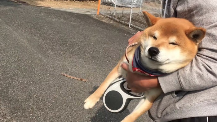 飼い主さんに運ばれてしまった