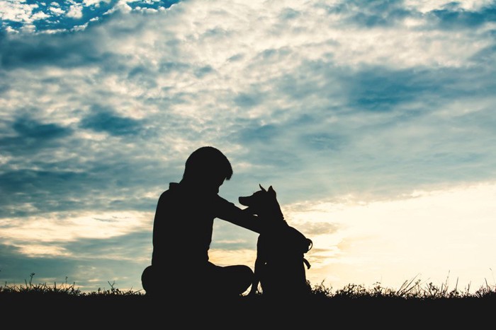 仲良しな人と犬