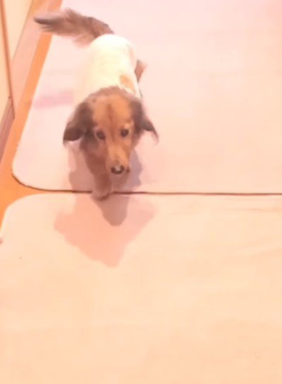 嬉しそうなじゅぴ太ちゃん