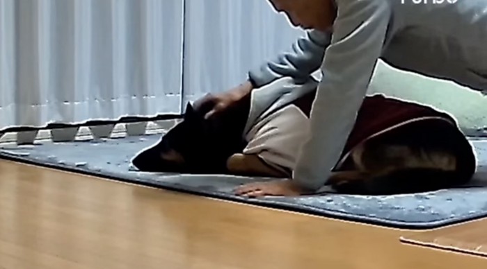 マッサージ受けてます