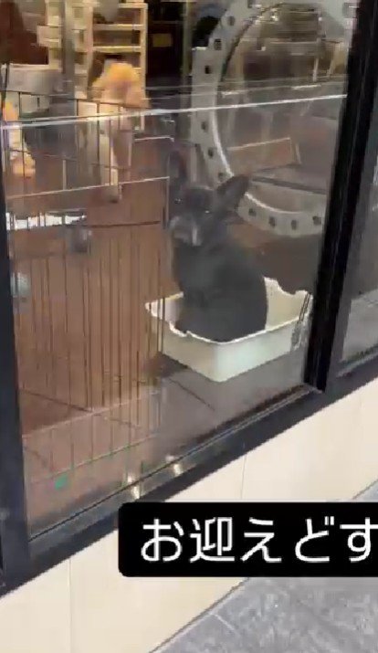 幼稚園のお迎えでは…