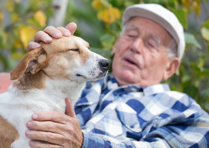 犬と老人