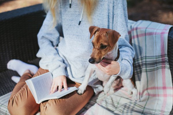 人と犬と本