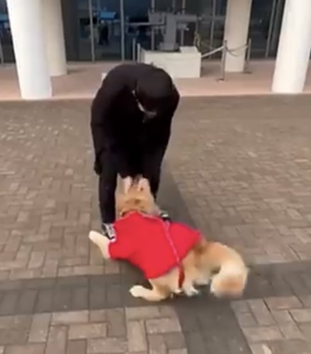 男性に体を寄せる犬