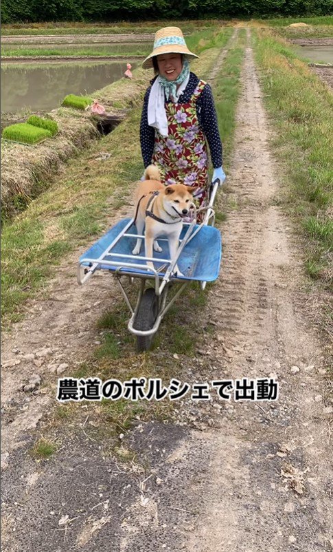 一輪車に乗るめごちゃん3