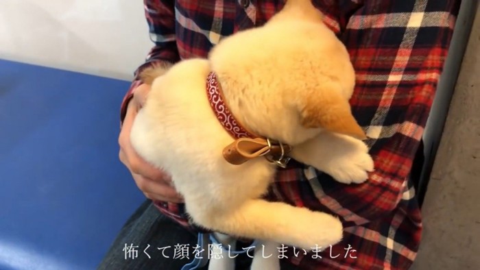 診察後は隠れてしまいました！