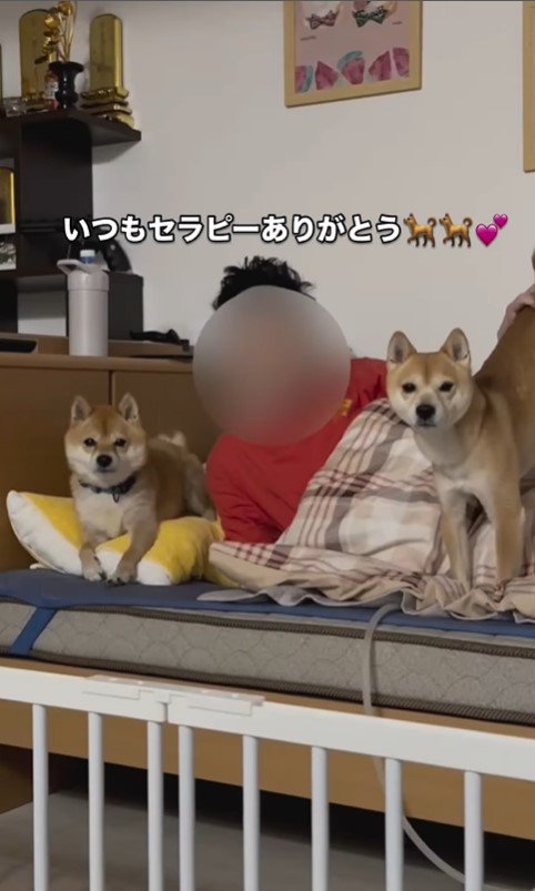 闘病中のパパさんに寄り添うたもつ君＆たら君8