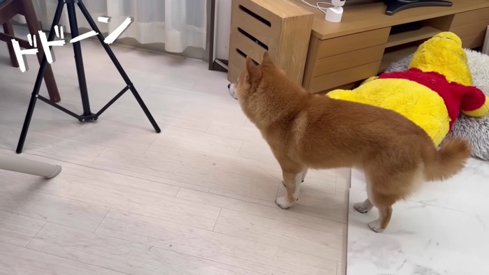 どんどん近づいてくる…！