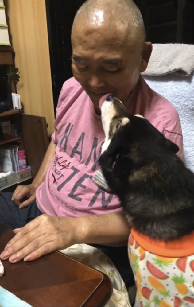 おじいちゃんの顔を舐める黒柴