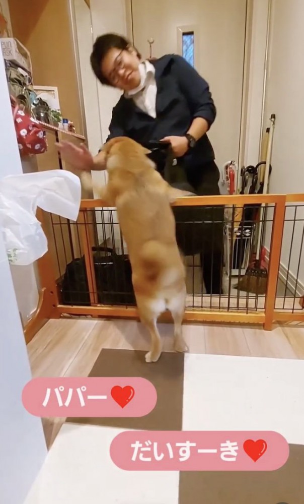 「会いたかったぁぁ」