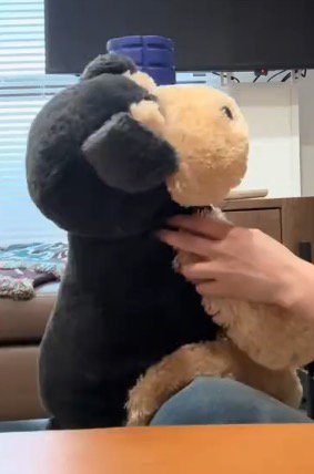 知り合いからプレゼントされた大きな犬のぬいぐるみ