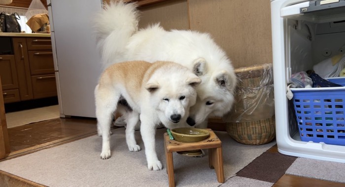 仲良し
