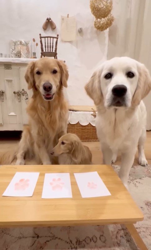 3匹のワンコたちの肉球スタンプ作り9