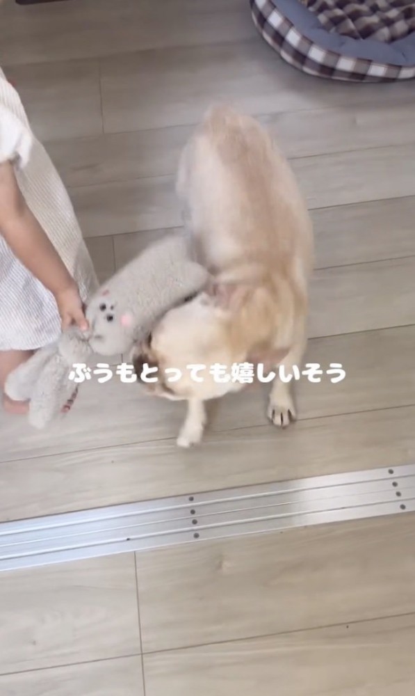 エンジョイ！