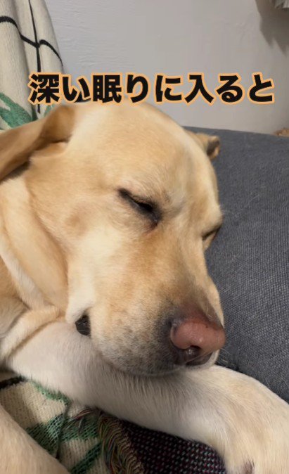このあと衝撃の姿に…！