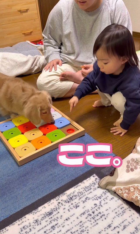 オヤツのありかを教えてくれました！