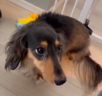 やらかしたな